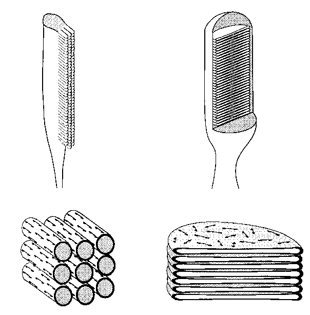 Fotoreceptorok