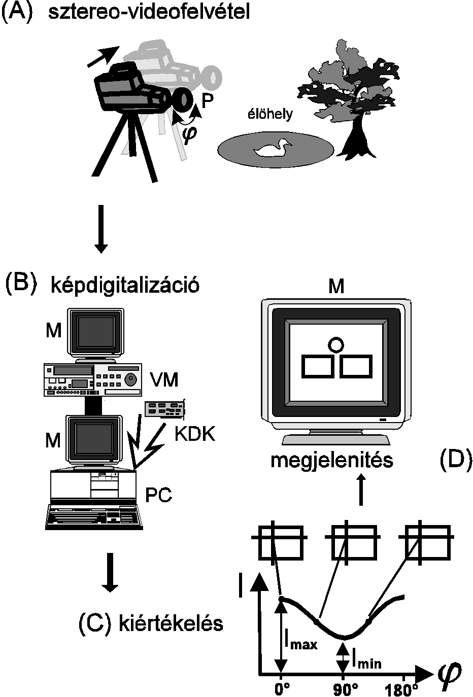 Videopolarimetria mdszere