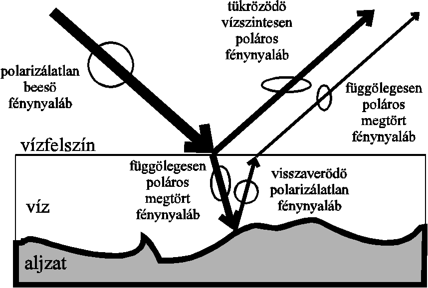 Tkrzds vzben